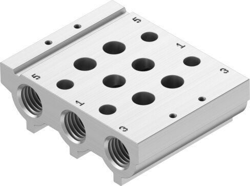 Manifold rail