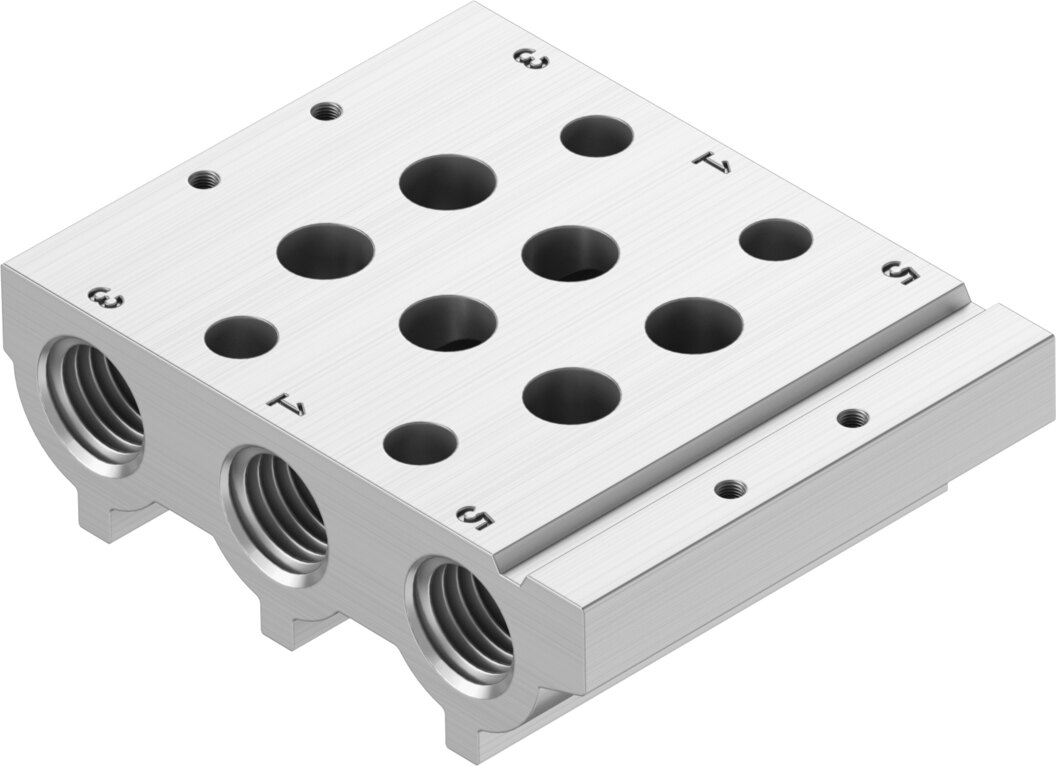 Manifold rail