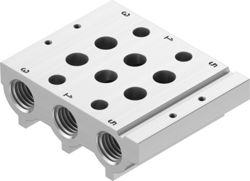 Manifold rail