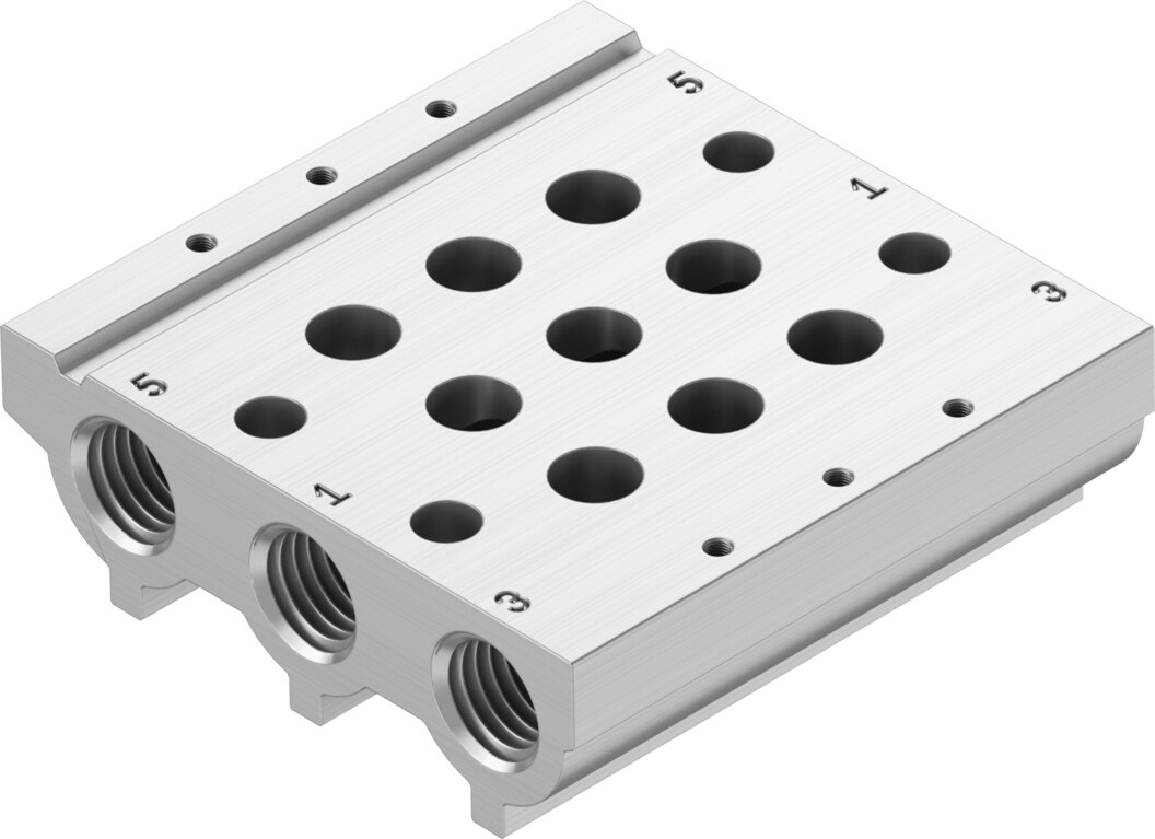 Manifold rail
