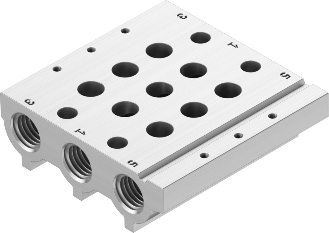 Manifold rail