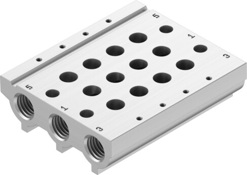Manifold rail