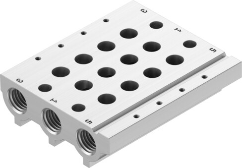 Manifold rail