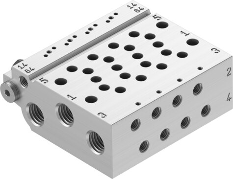 Manifold rail