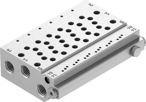 Manifold rail