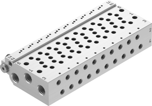 Manifold rail