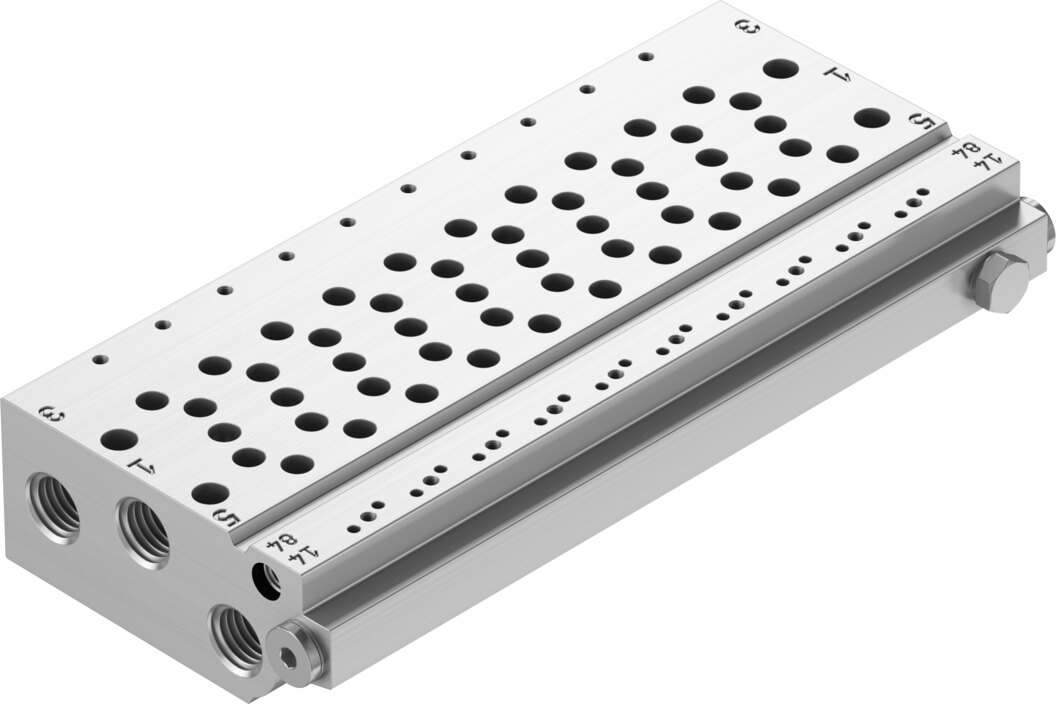 Manifold rail