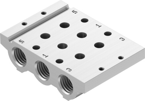 Manifold rail