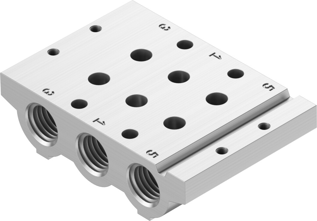 Manifold rail