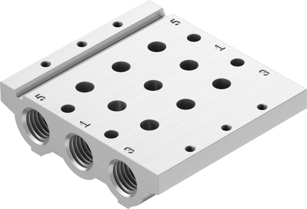 Manifold rail