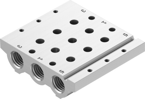 Manifold rail