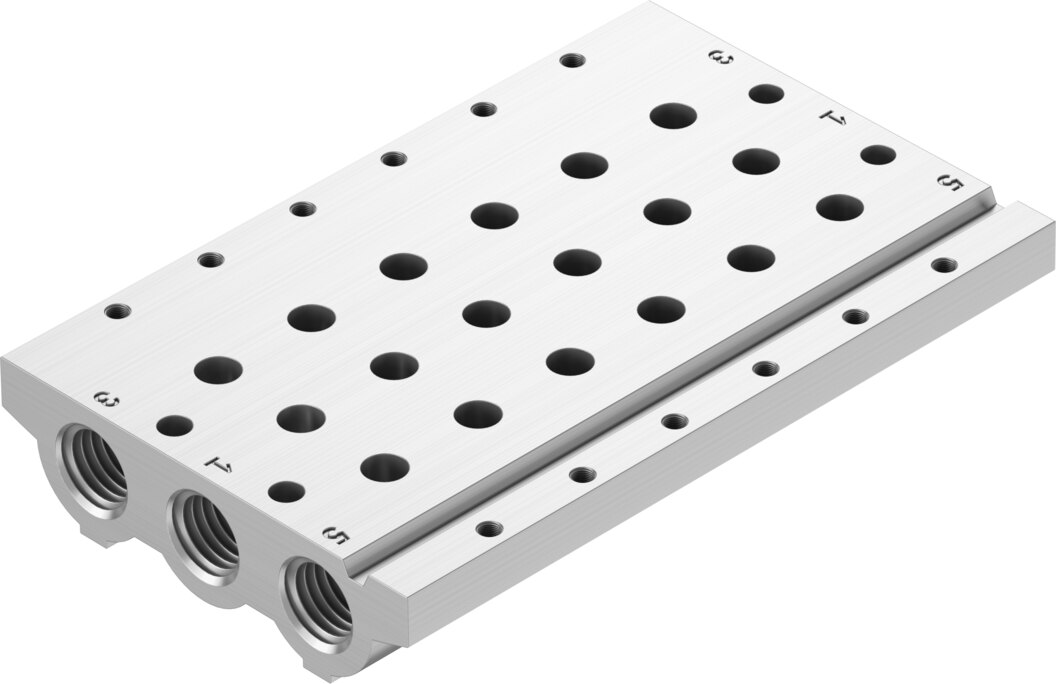 Manifold rail