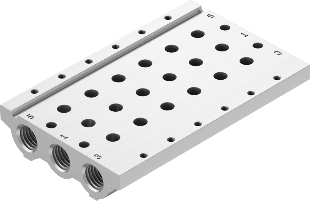 Manifold rail