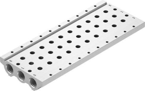 Manifold rail
