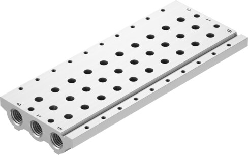 Manifold rail