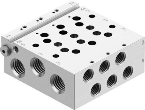 Manifold rail