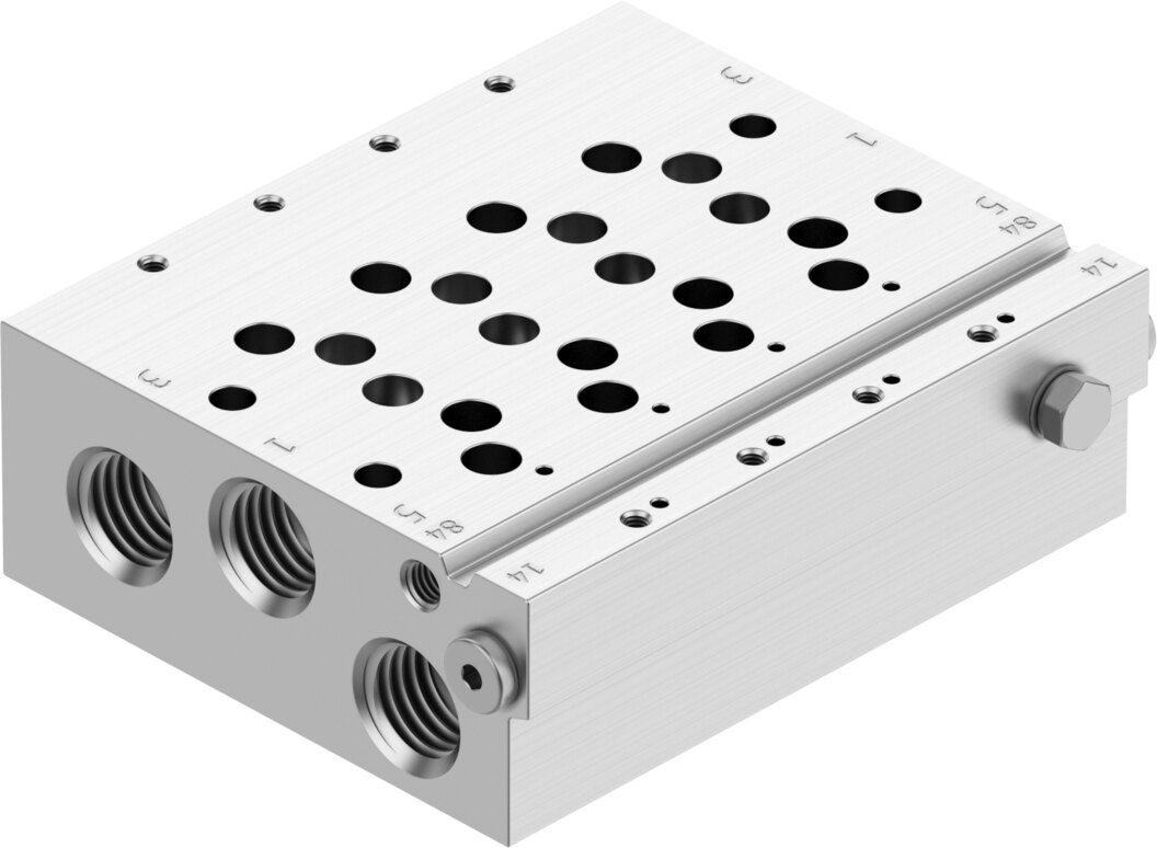 Manifold rail