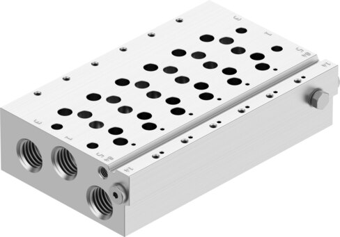 Manifold rail