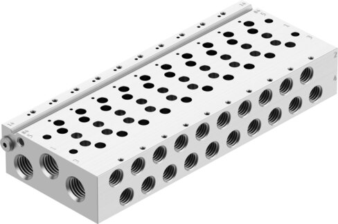 Manifold rail