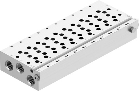 Manifold rail
