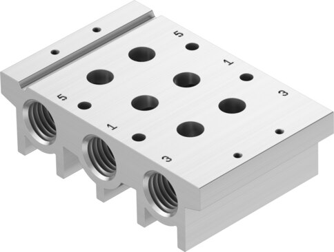 Manifold rail