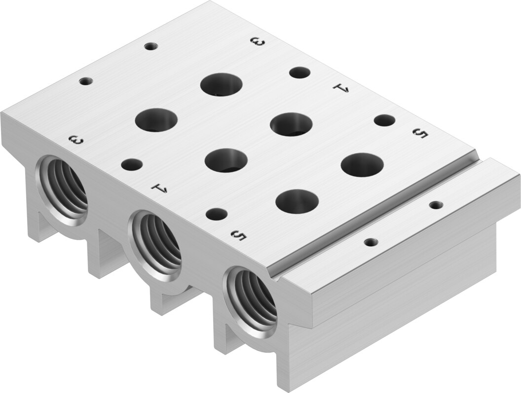 Manifold rail