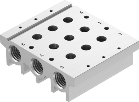 Manifold rail