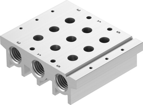 Manifold rail