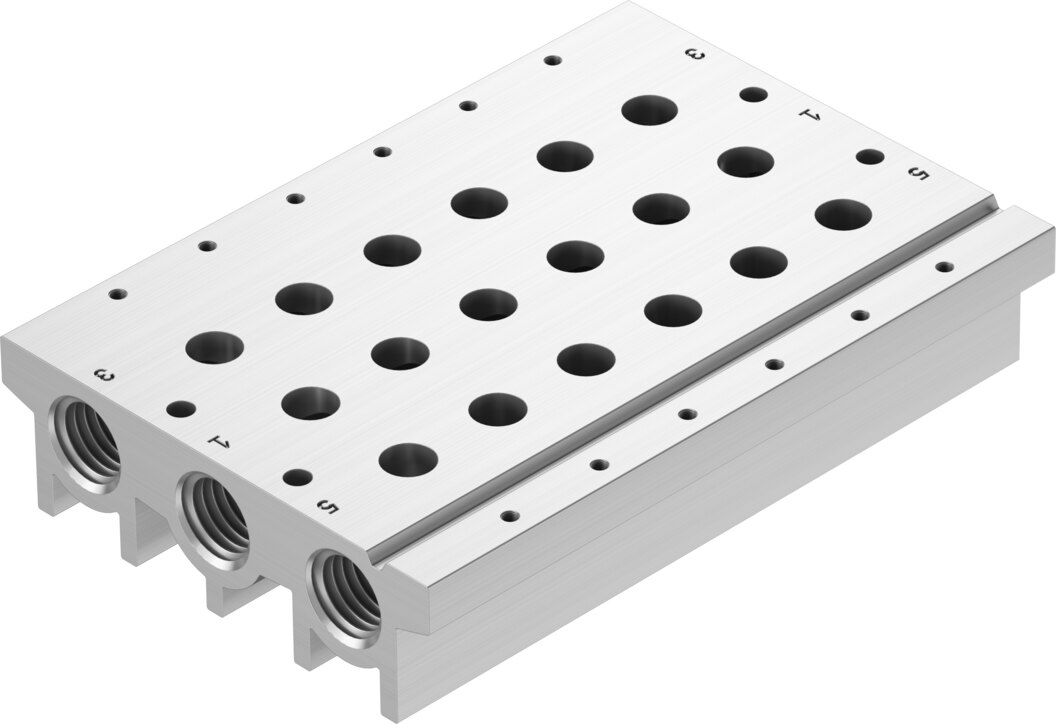 Manifold rail