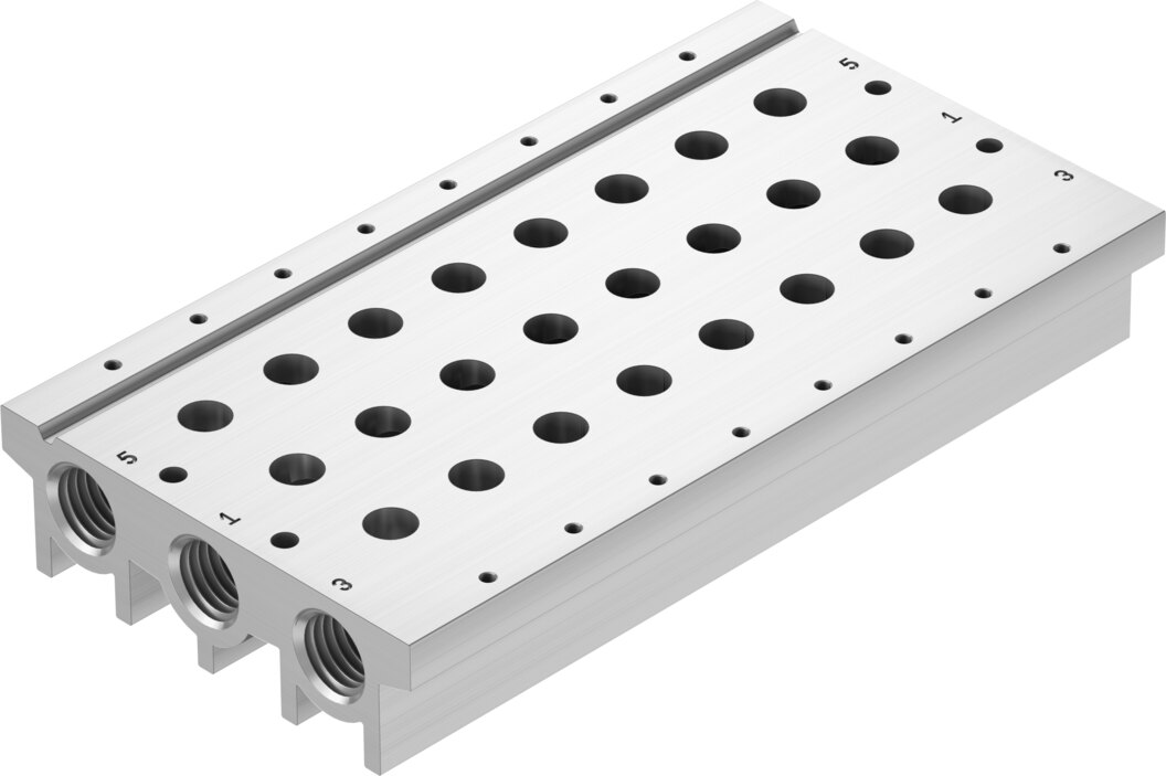 Manifold rail