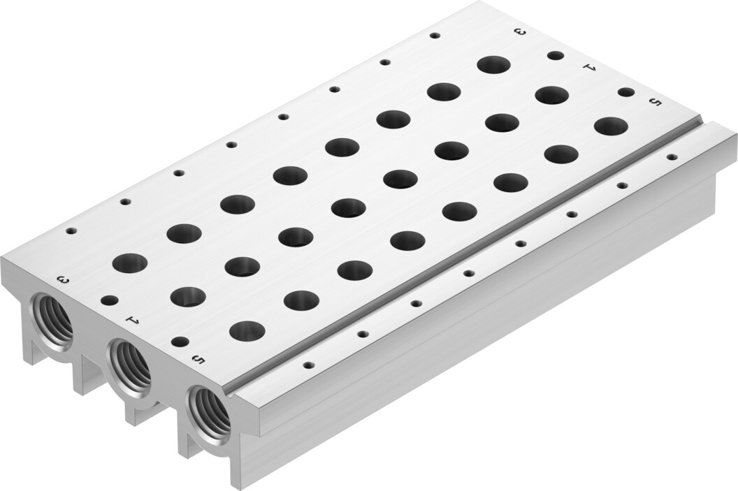 Manifold rail