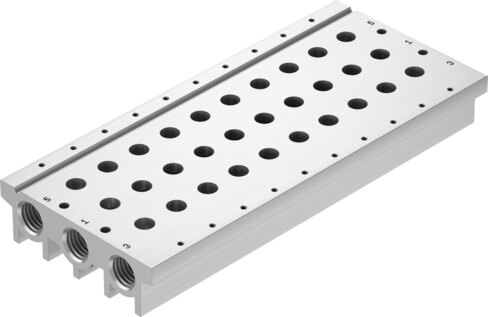 Manifold rail