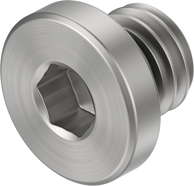 Plug screw