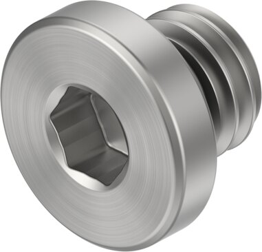 Plug screw
