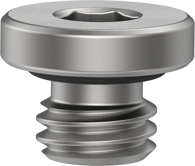 Plug screw
