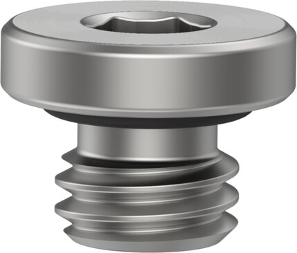 Plug screw