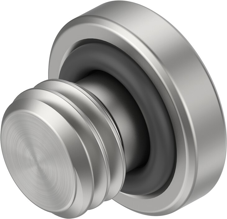 Plug screw