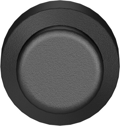 Push-in cap