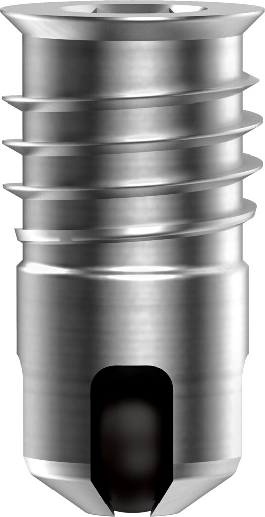 Check valve