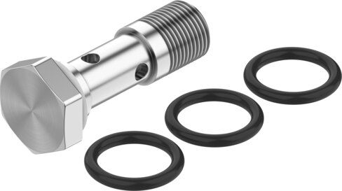 Hollow bolt