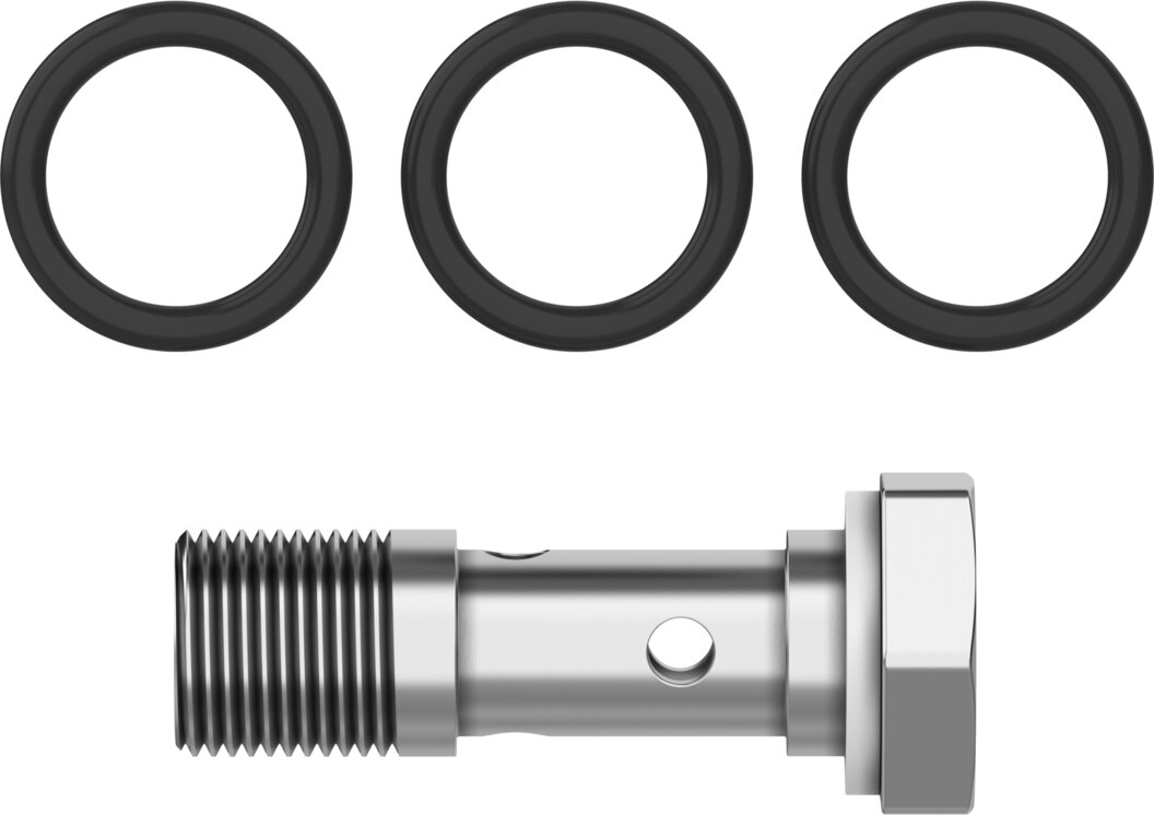 Hollow bolt