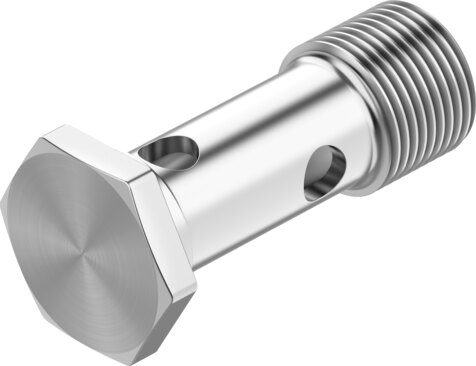 Hollow bolt