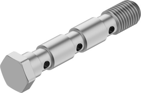 Hollow bolt