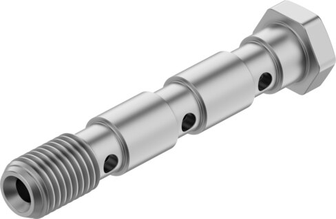 Hollow bolt
