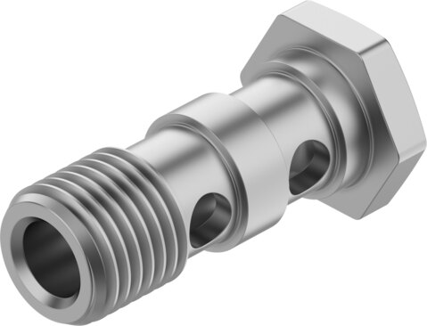 Hollow bolt