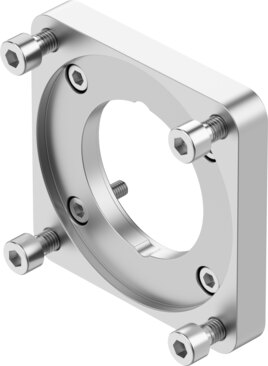 Motor flange