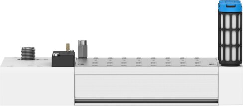 Manifold rail