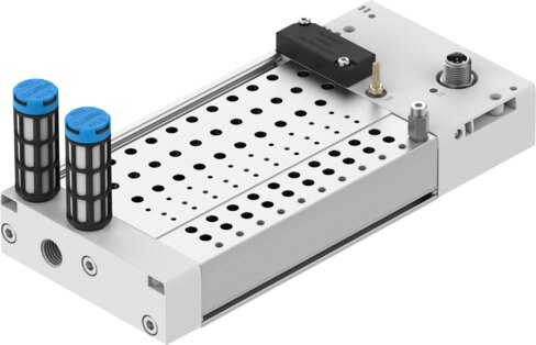 Manifold rail