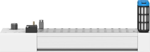 Manifold rail