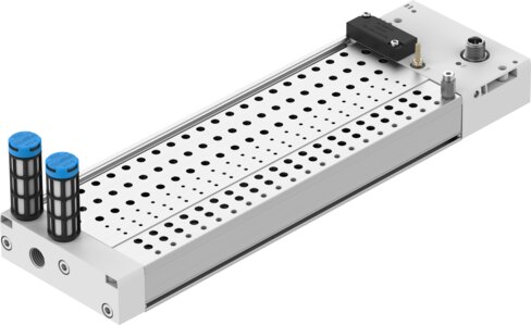 Manifold rail